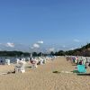 Plaża Wannsee