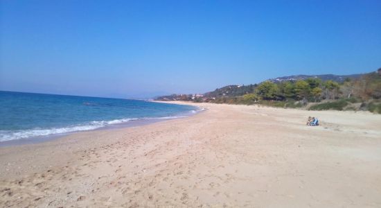 Lygia beach