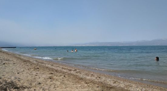 Avlidas beach