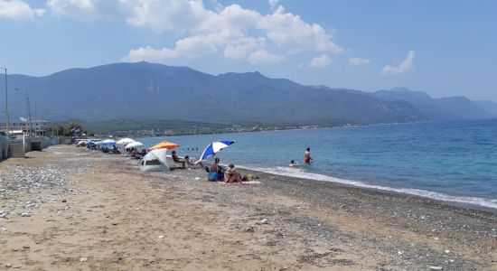 Alepochori beach