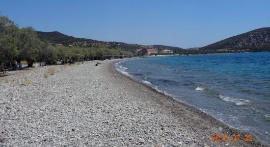 Dardiza beach
