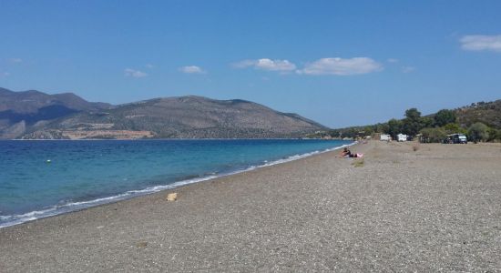 Dariza Metamorfosis beach