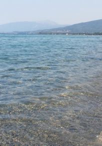 Λεπτοκαρυά
