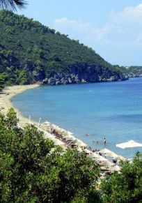 Paliouri
