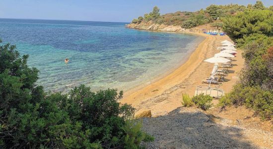 Little Olive beach