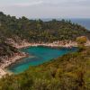 Sythonia wild beach X