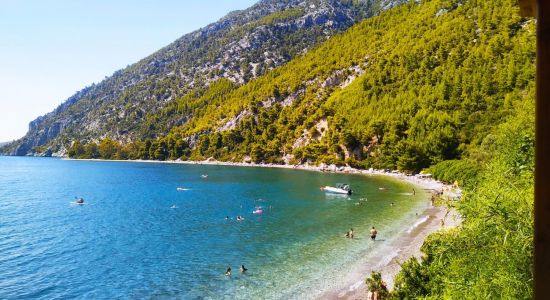Dafni of Evia beach