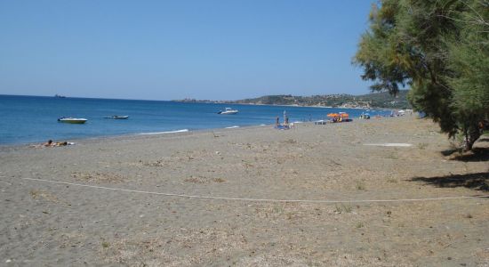 Vatera beach II