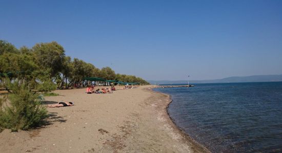 Kalloni beach II