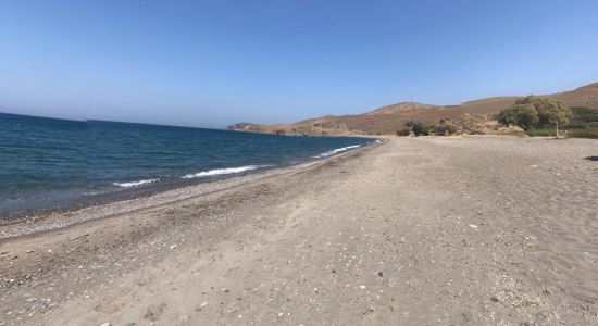 Faneromeni beach