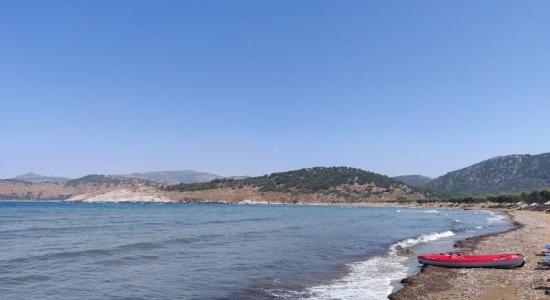 Gavathas