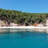 Spartines beach II