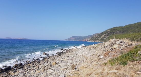 Paralia Glifada IV