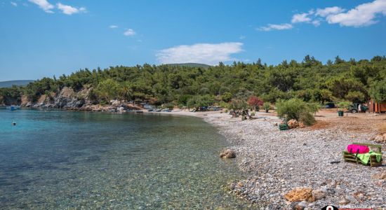 Mourtia beach