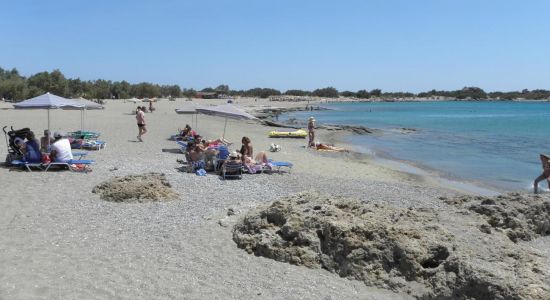 Alonaki