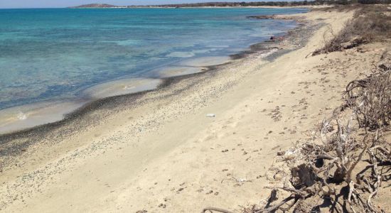 Avlaki beach