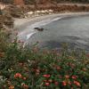 Alas Beach