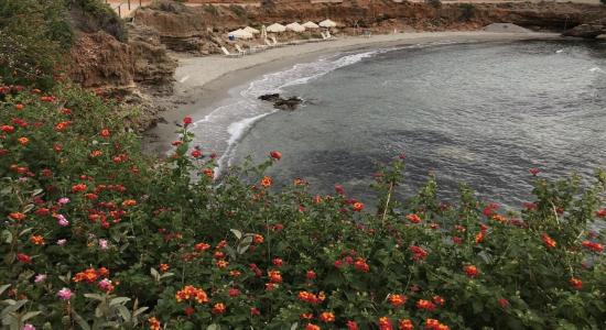 Alas Beach
