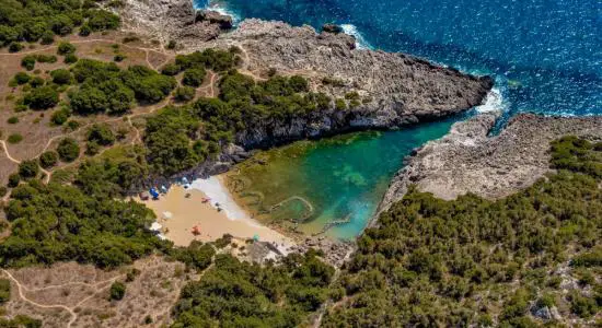 Paralia Glossa