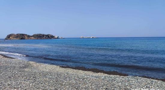 Beach Papalia