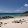 Pointe Tarare nudist Beach