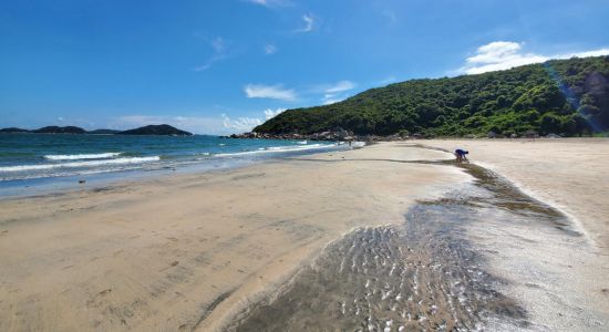 Lo Kei Wan