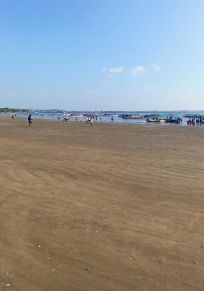 Nerul