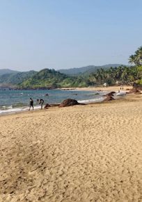 Agonda
