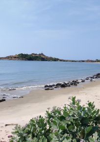Vannalli