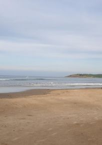 Bengre