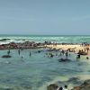 Triveni Sangamam Beach