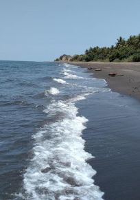 Dusun Sidutan