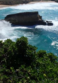 Repoksampih