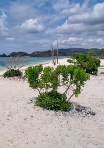 Kuta
