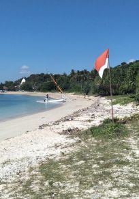 Pengawisan