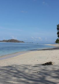 Pewaringan