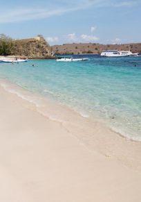 Isola di Komodo