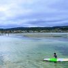 Mitchies Jetty Beach
