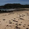 Mystery Beach