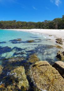 Distrito de Shoalhaven