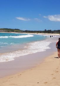 Distrito de Shellharbour