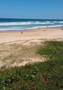 Port Stephens Raad