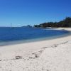 Corlette Beach