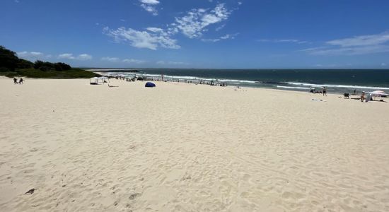 Forster Beach