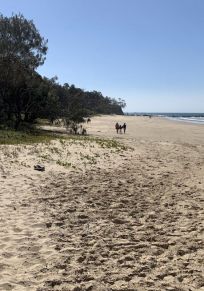 District Coffs Harbour