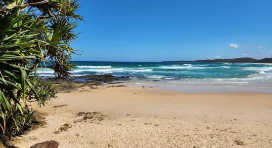 Minnie Water Back Beach