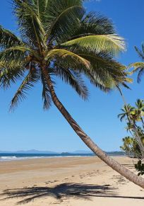Regio Cassowary Coast