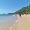 Ellis Beach