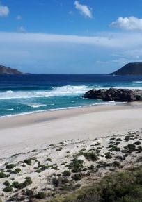 Manjimupin piirikunta