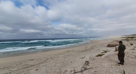 Reef Beach